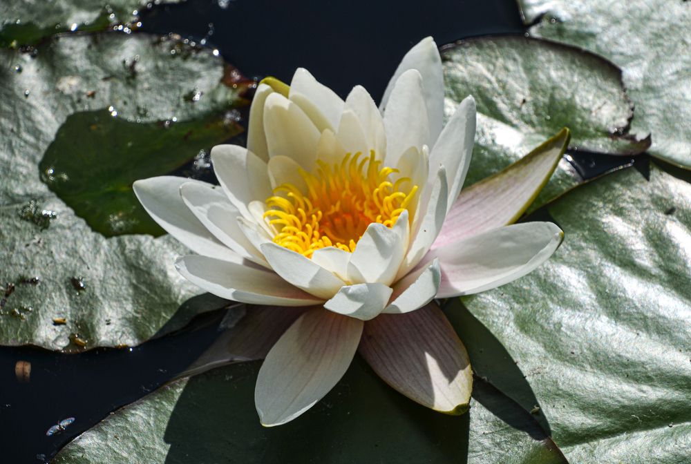 Photograph by Валерий Наумов