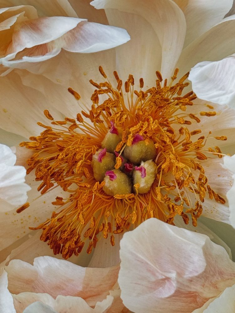 Photograph by Marianna Zakirova