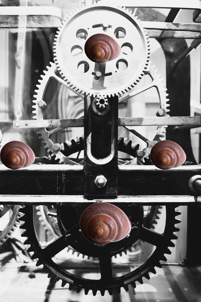 Photograph by Владимир Грибков