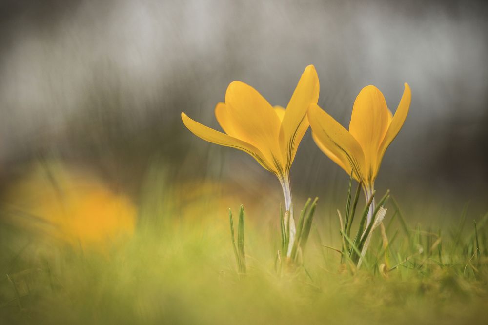 Photograph by Damian Cyfka