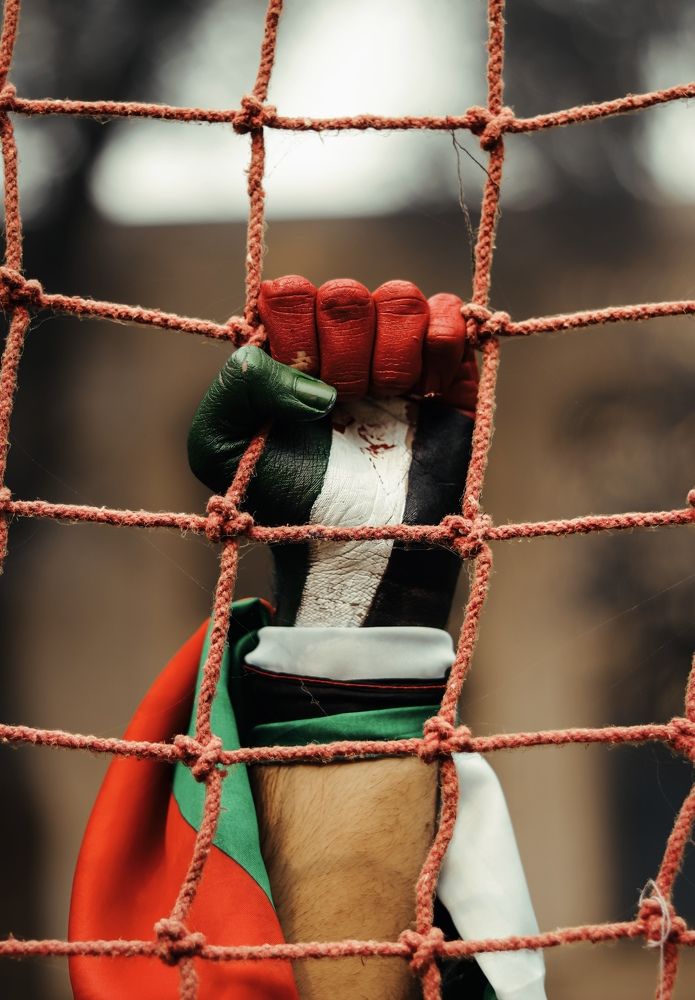 Фотография автора Awais Akram