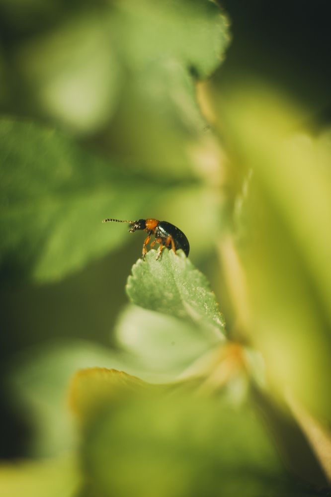Photograph by Мария Калачева