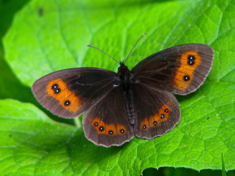 Photograph by Мария Толмачева