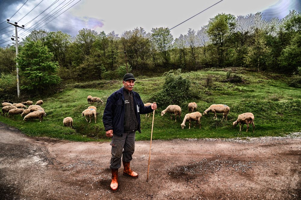 Photograph by Muzaffer Sütlüoğlu