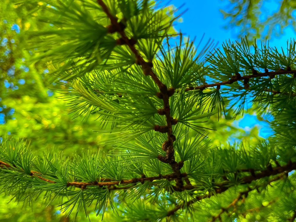 Photograph by Полина Мельникова