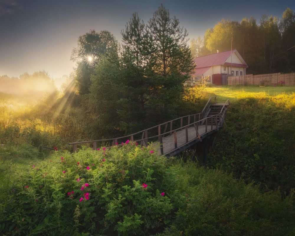 Photograph by Dmitry Medyancev