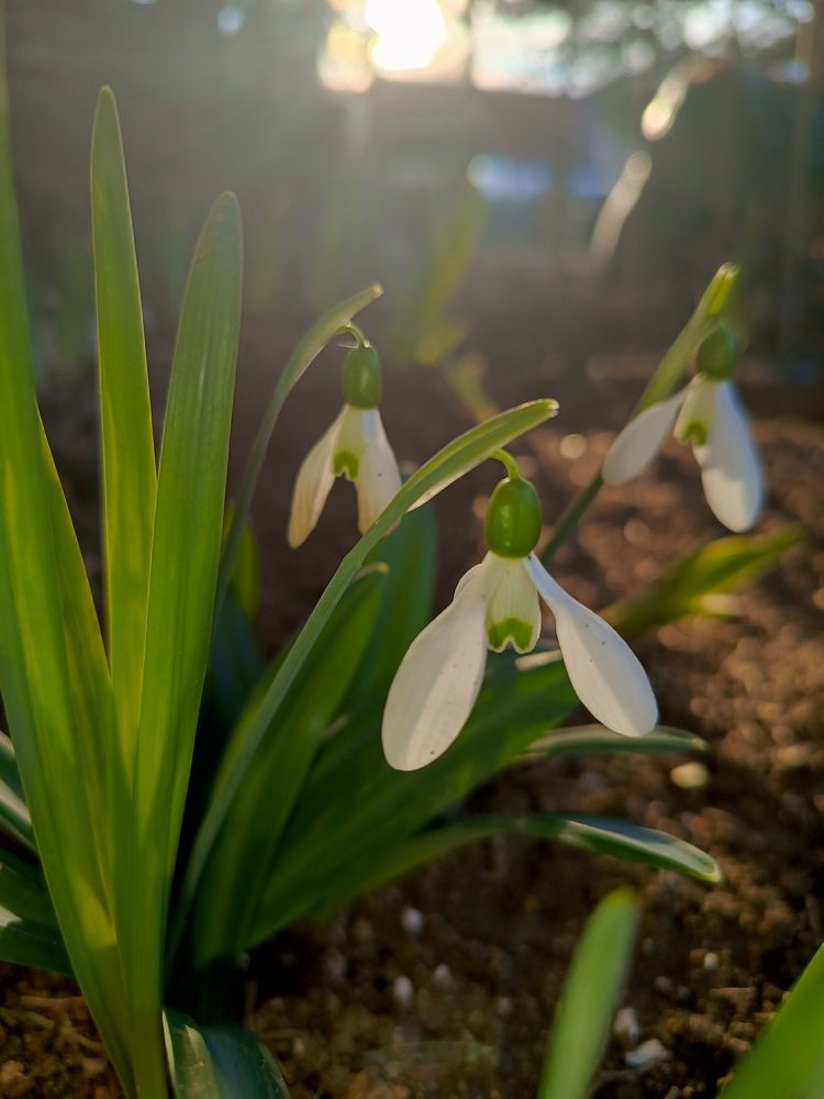 Photograph by Екатерина Игоревна