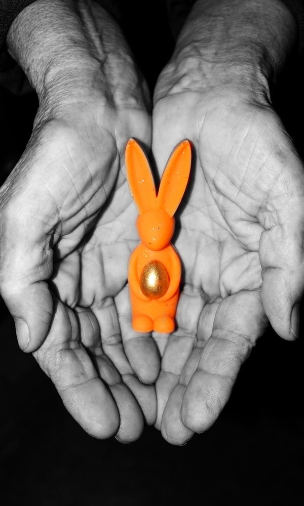 Photograph by Ирина Дмитриенко