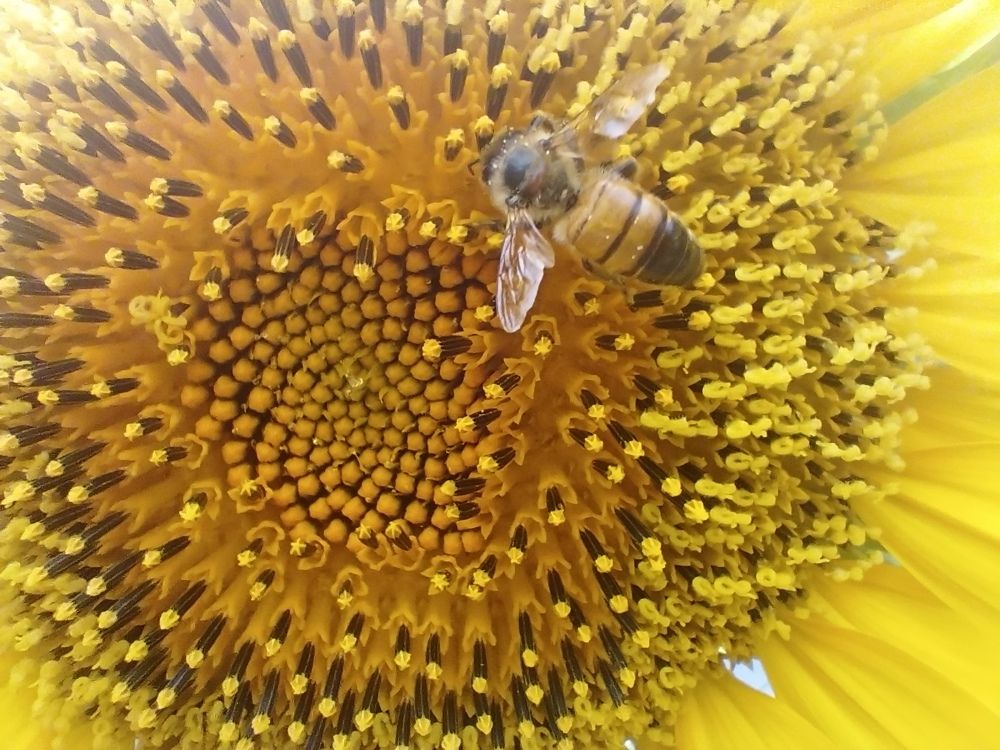 Photograph by Екатерина Игоревна