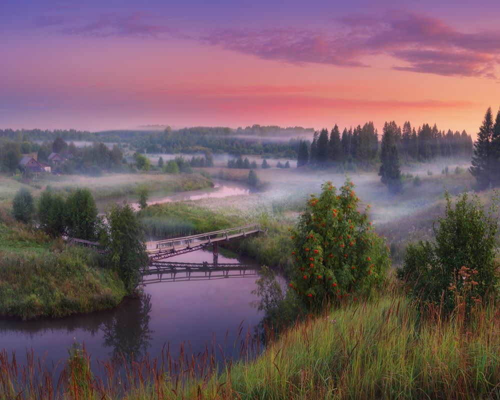 Photograph by Dmitry Medyancev