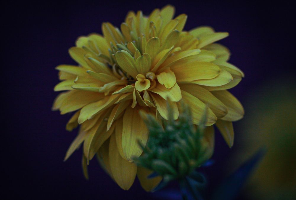 Photograph by Максим Шориков