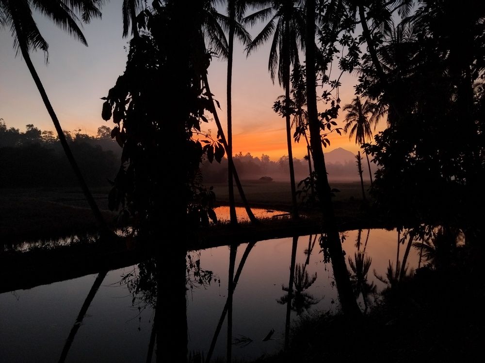 Under Dreamed Paridise