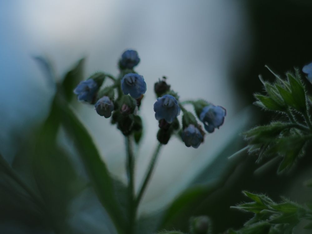 Фотография автора Юрий Володин