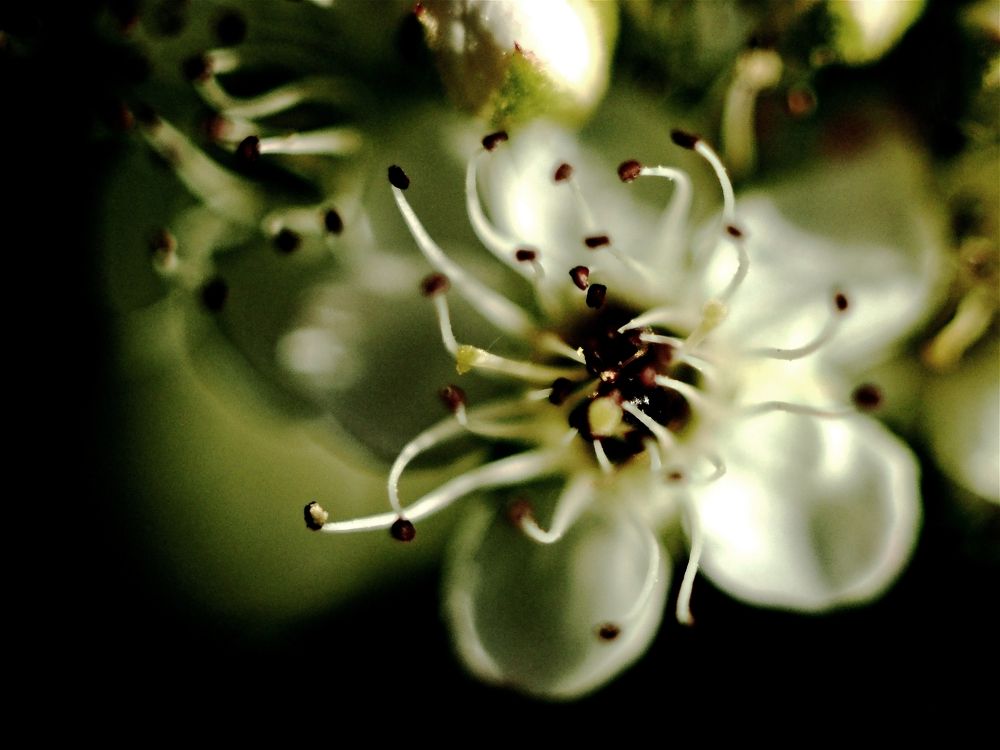 Фотография автора Юрий Володин