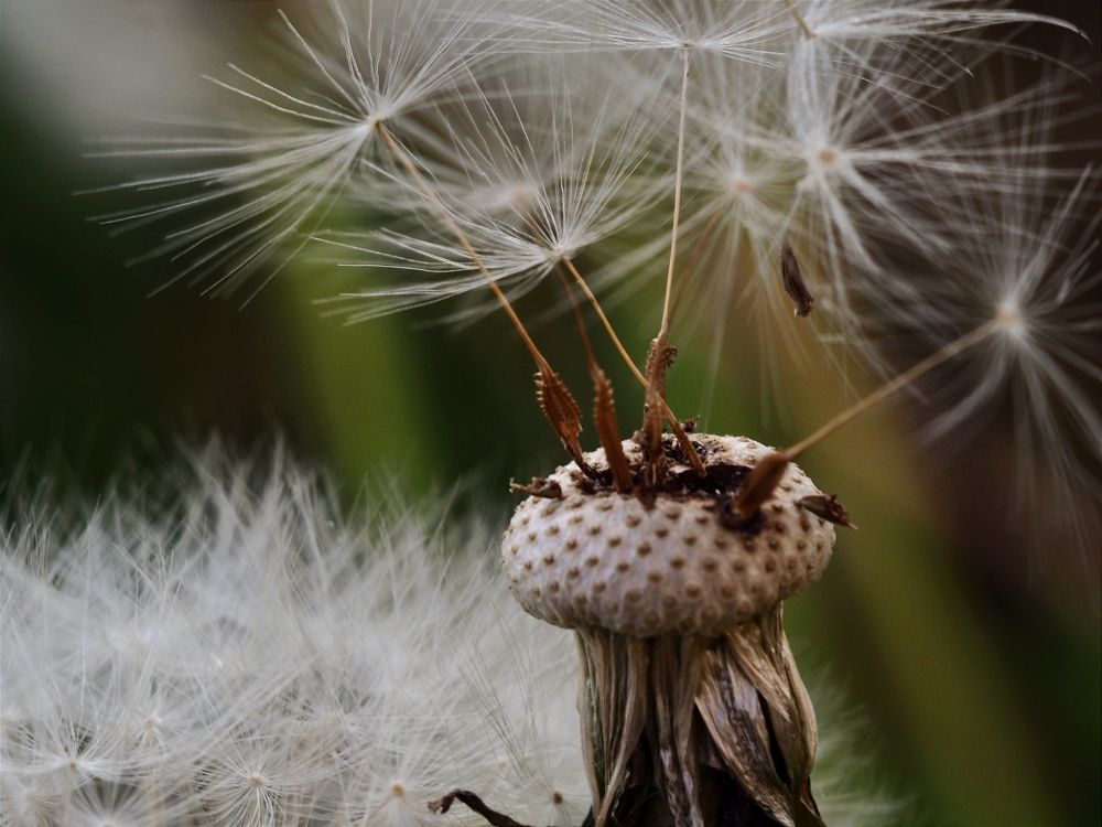 Фотография автора Юрий Володин