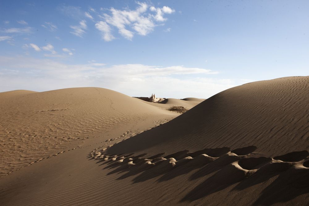 Следы в пустыне