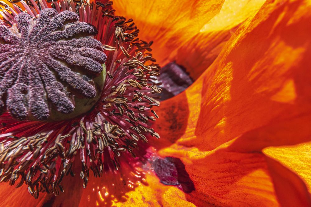 Фотография автора Игорь В. Панфилов