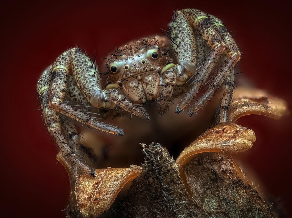 Photograph by Олег Савицкий