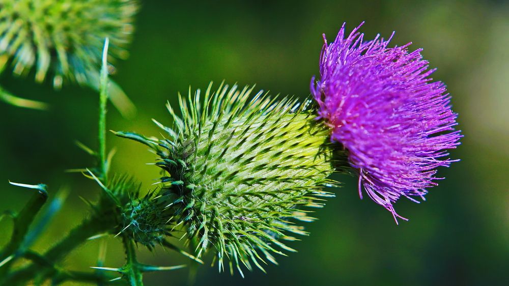 Фотография автора Игорь В. Панфилов