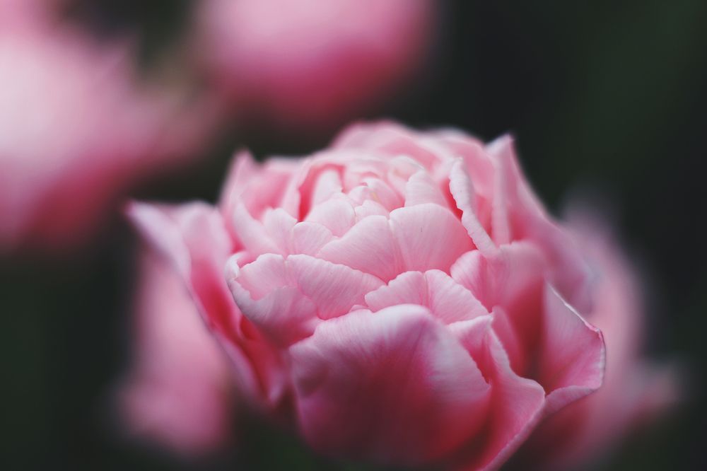 Photograph by Anna Lin