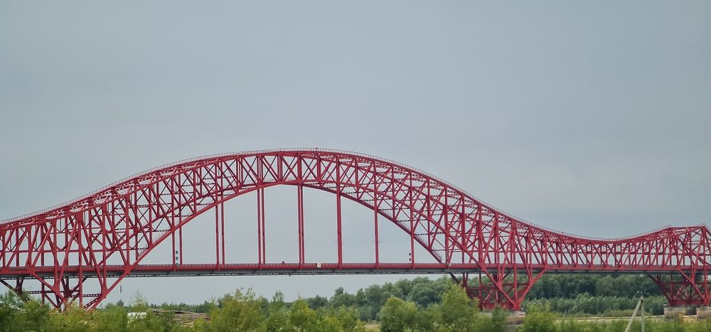 Photograph by Natasha Kim