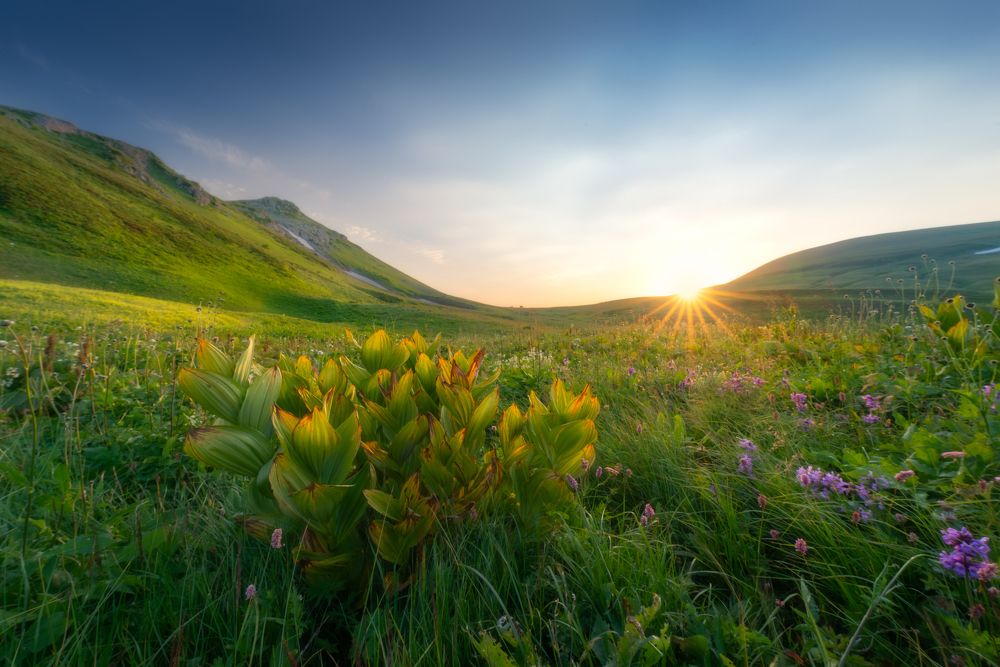 Photograph by Alexander Ornatskiy