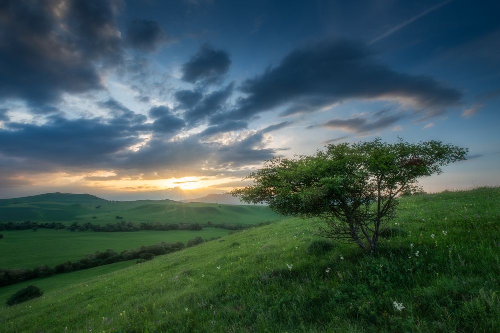 Photograph by Alexander Ornatskiy