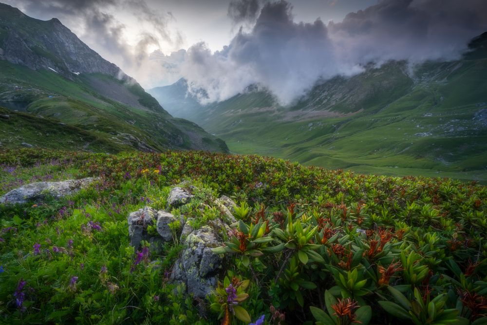 Photograph by Alexander Ornatskiy