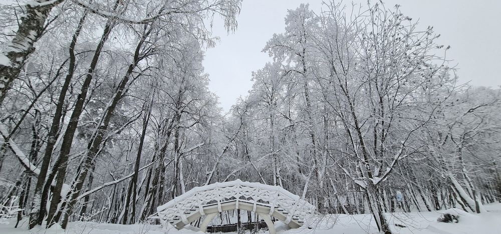 Photograph by Natasha Kim