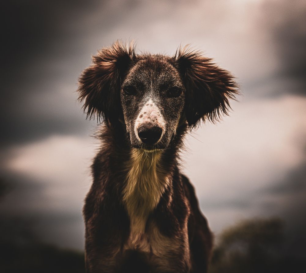 Фотография автора Роман Филатов