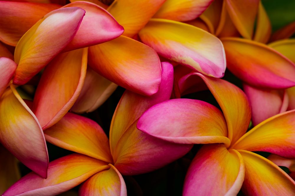 tenderness and beauty