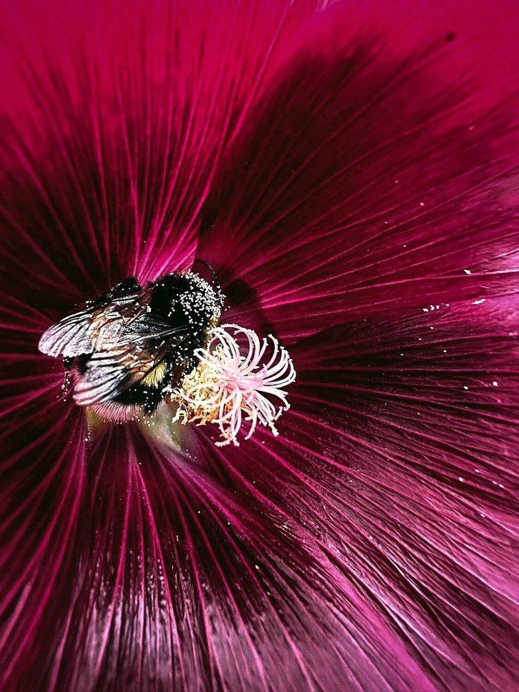 Photograph by Екатерина Козлова