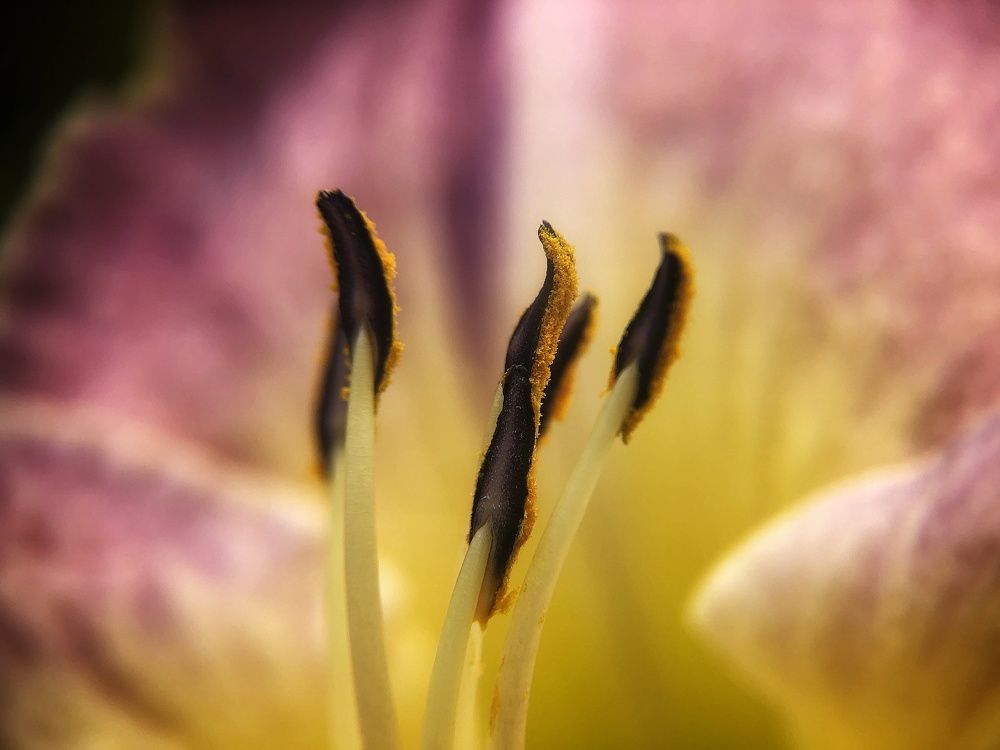 Photograph by Екатерина Козлова