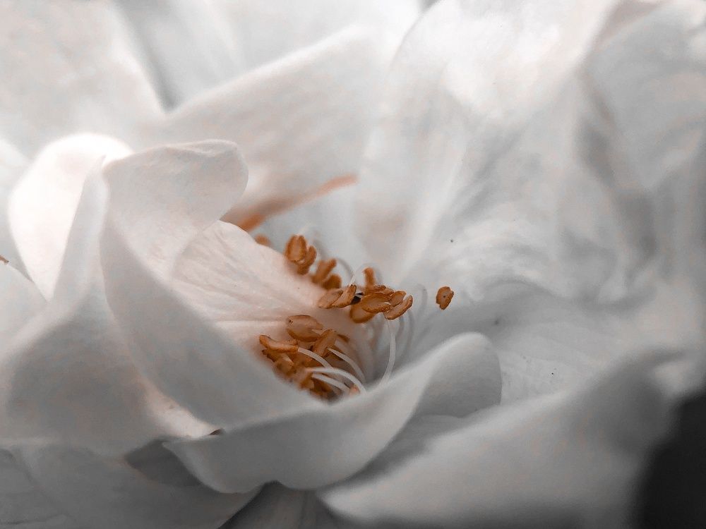 Photograph by Екатерина Козлова