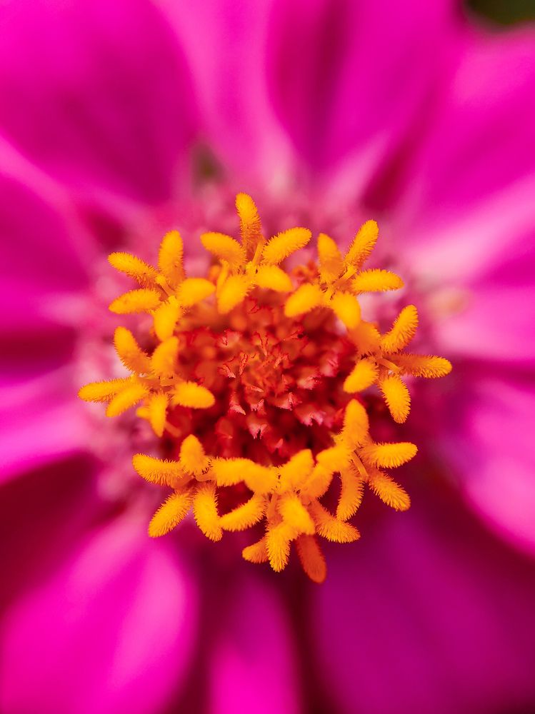 Photograph by Antaryami Das