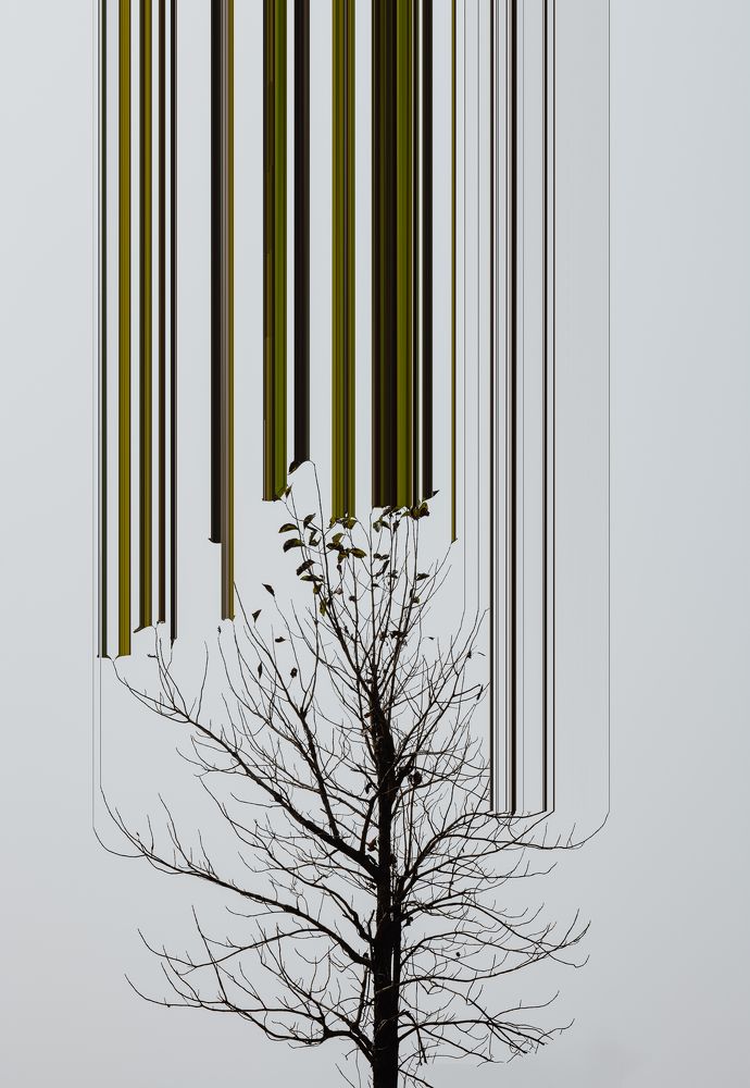 Photograph by Abdullah Ahmad