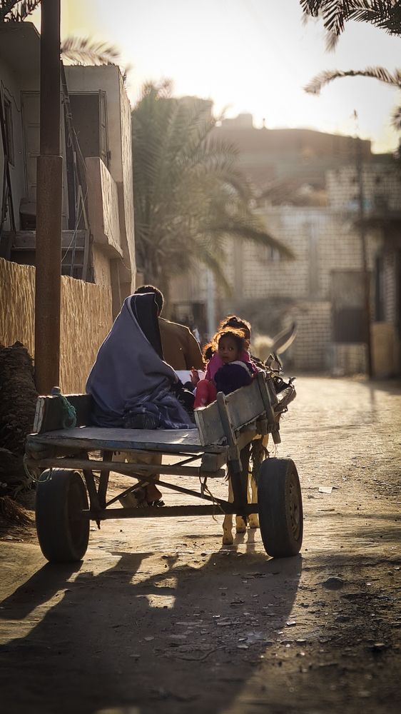 Photograph by Mohamed Gamal