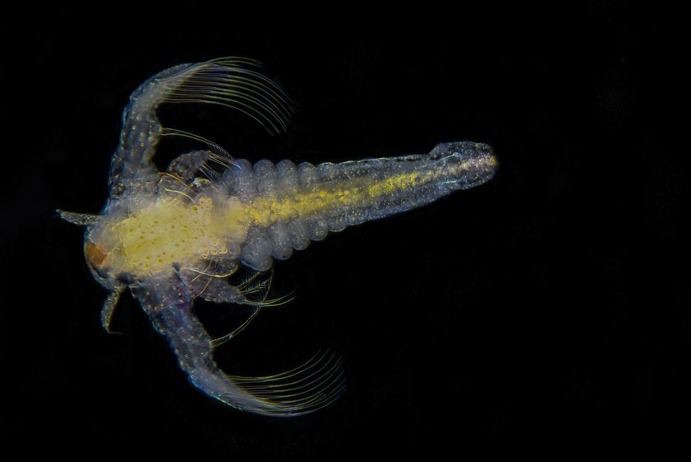 Photograph by Дмитрий Влизько