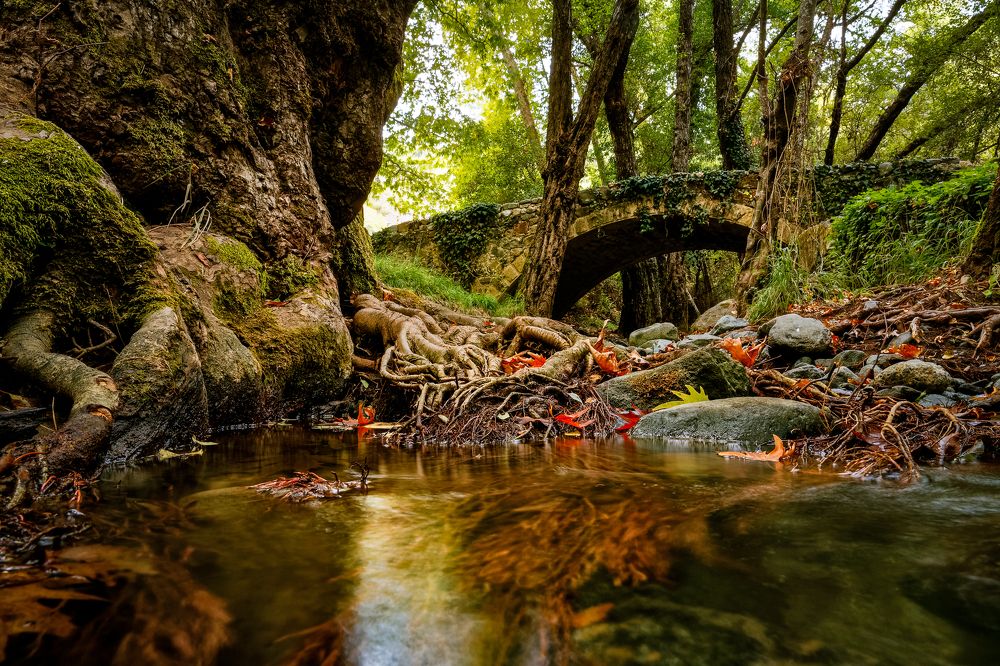 Photograph by Павел