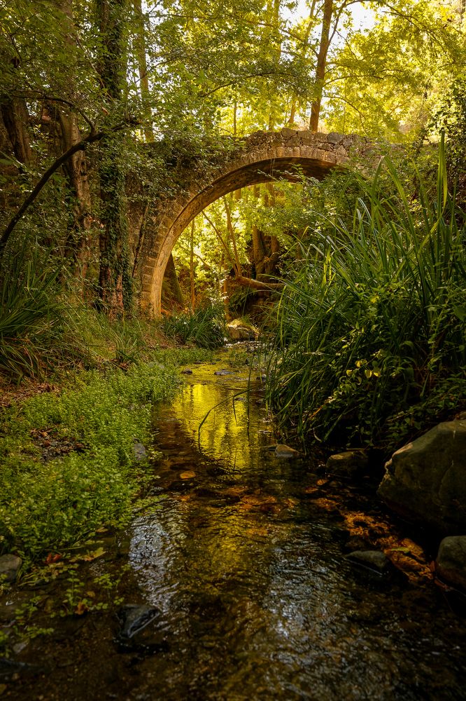 Photograph by Павел