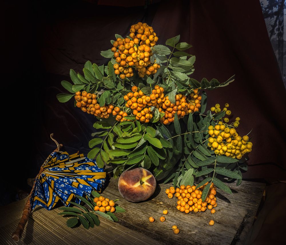 Photograph by Milena Ivanova