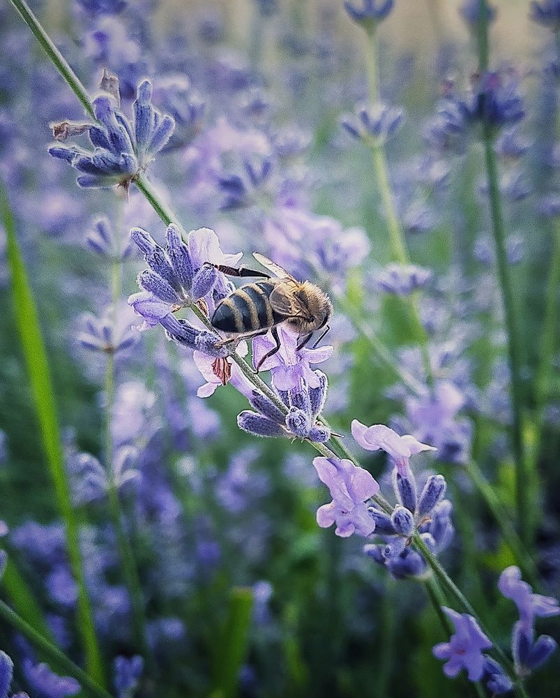 Photograph by Ольга Мартьянова