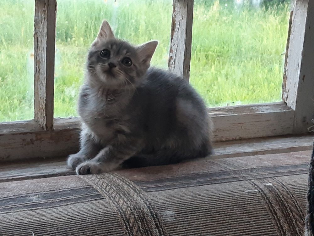 Photograph by Екатерина