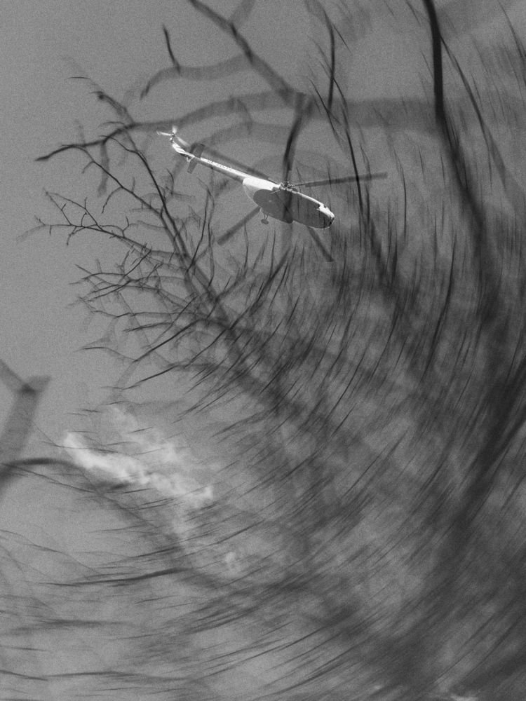 Photograph by Анастасия Конина