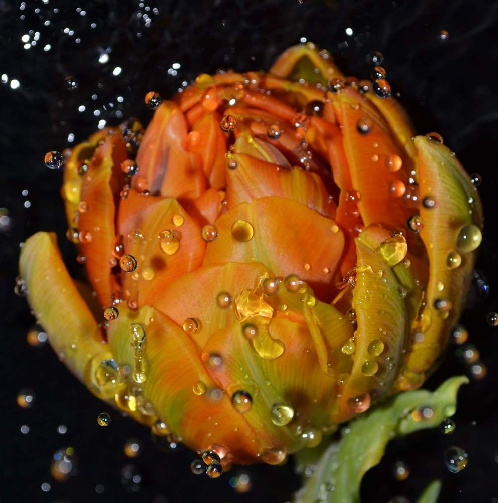 Photograph by Ольга Хромова