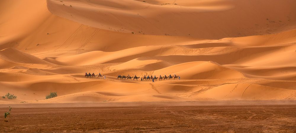 Photograph by Mariyana Atanasova - Lucero