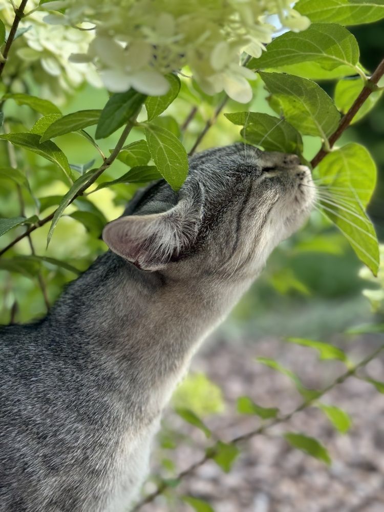 Photograph by Татьяна Маслова