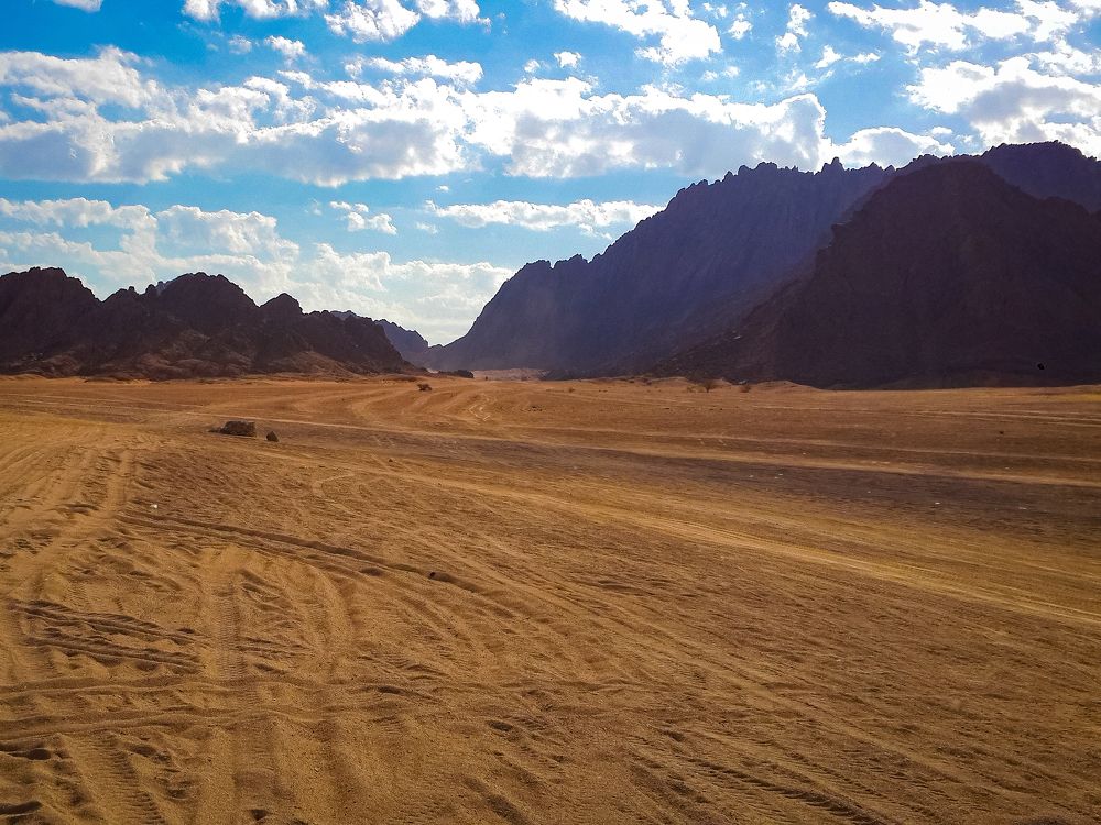 Photograph by Дмитрий Хорошилов