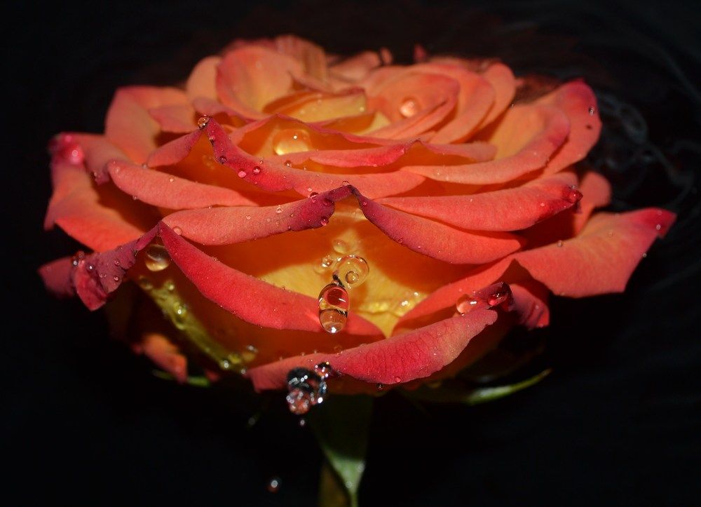 Photograph by Ольга Хромова