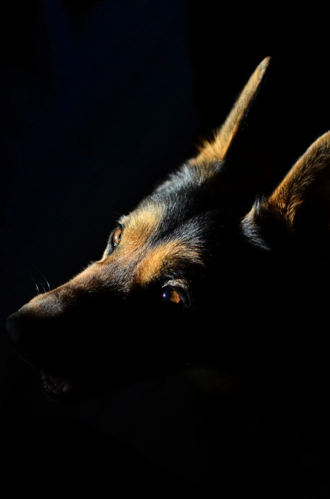 Photograph by Ксения Принцева